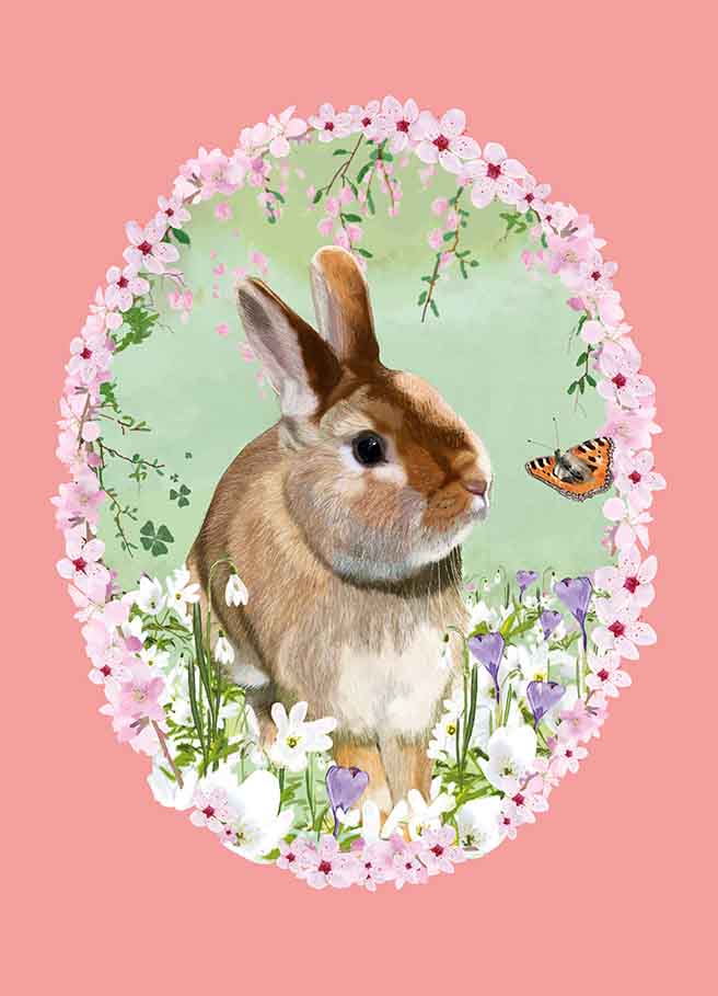 Postkarte - m-illu - Hase mit Schmetterling