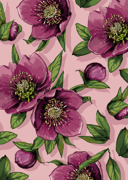 Postkarte - illi - MONI Postkarte - illi - MONI