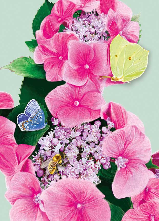 Postkarte - m-illu - Hortensie pink