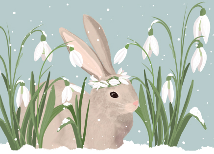*PK - Toni Starck - Winterrabbit