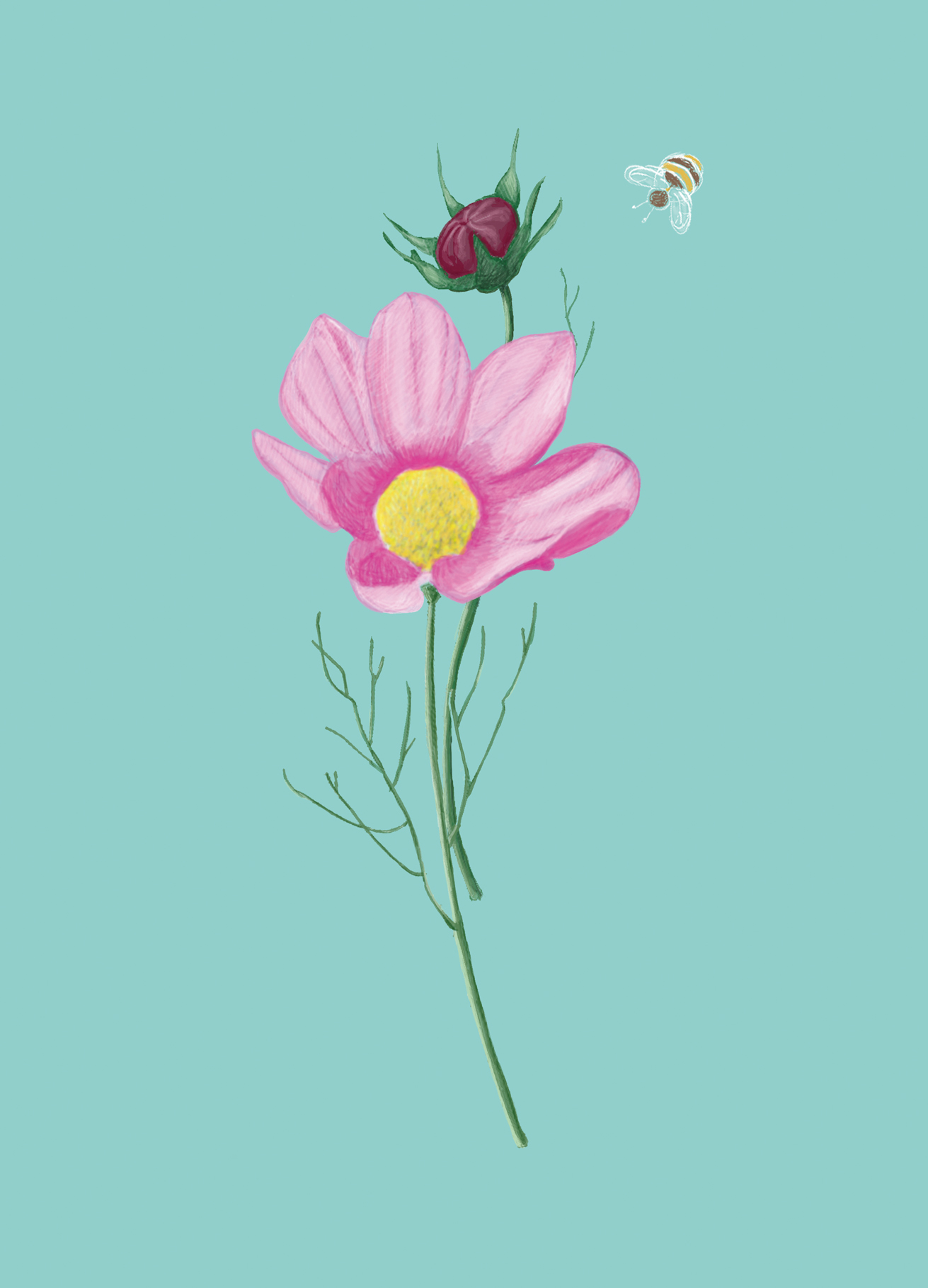 Postkarte - m-illu Save the bees COSMOS