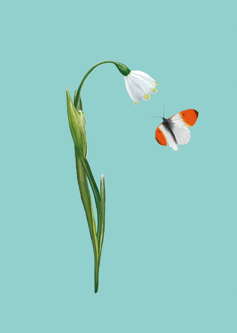 *PK - m-illu - Spring Snowflake