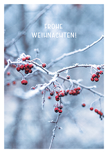 Postkarte - La Card - Winterbeeren