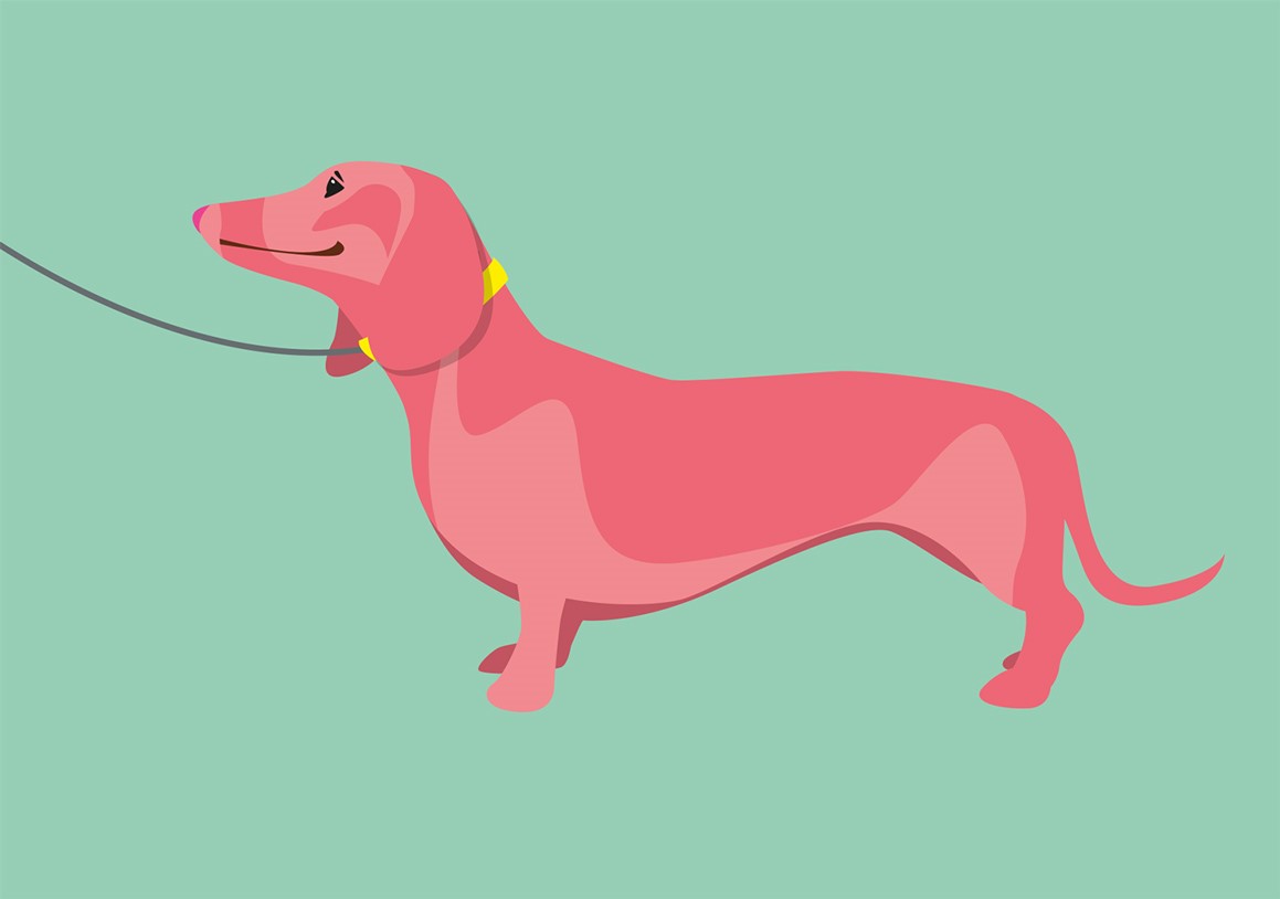 Postkarte - luminous - Dackel Postkarte - luminous - Dackel