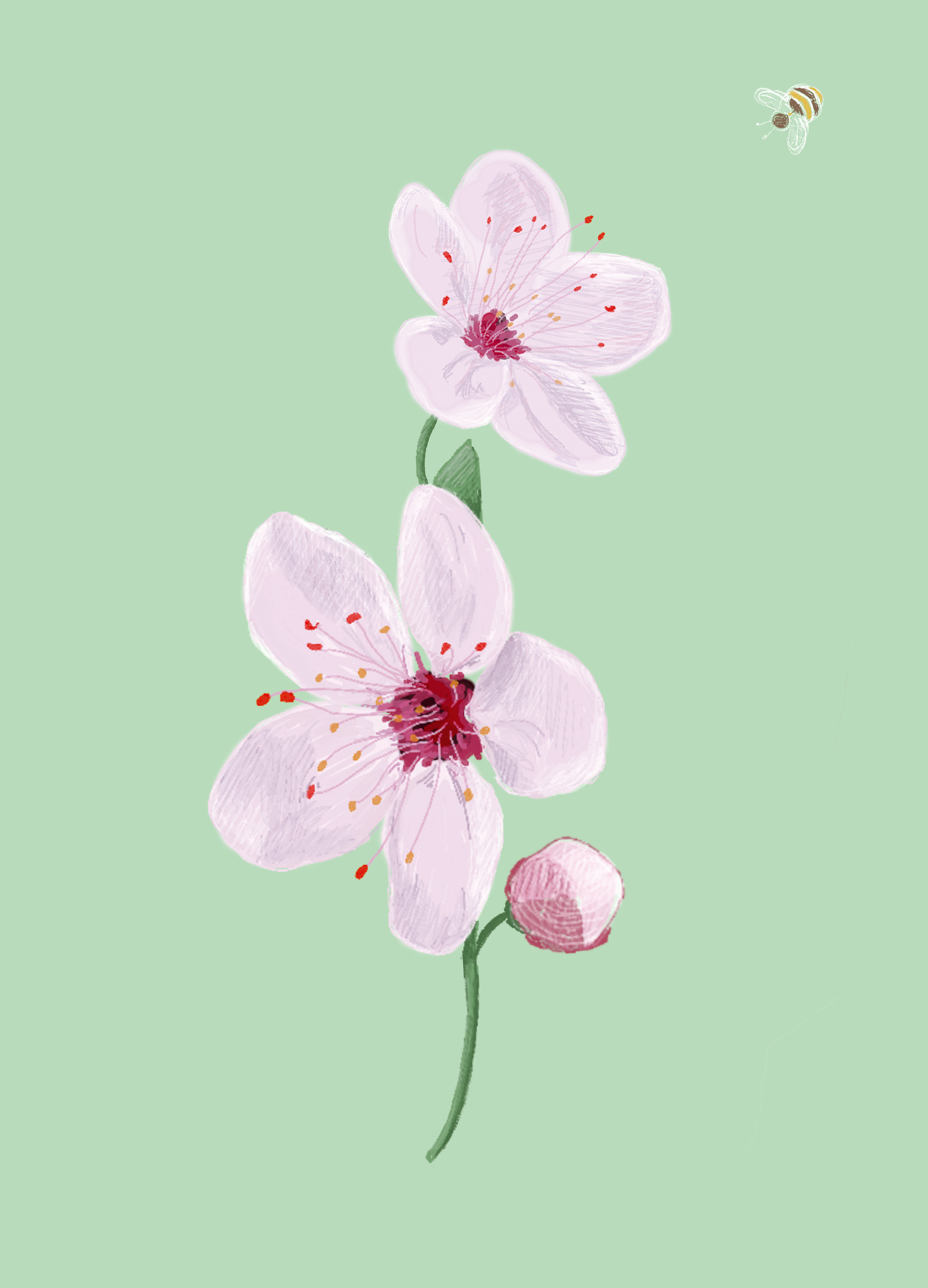 Postkarte - m-illu Save the bees CHERRY