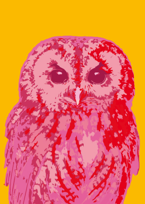 Postkarte - Toni Starck - Pink Owl