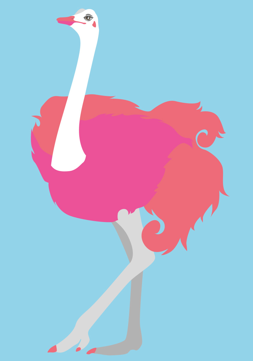 *PK - luminous - Strauß