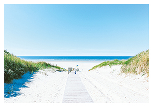 Postkarte - La Card - Sand dune