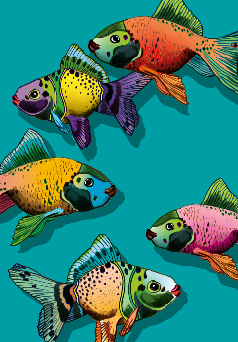 Klappkarte B6 - illi - Tutumo Klappkarte B6 - illi - Tutumo