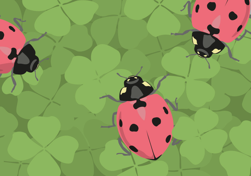 Postkarte - luminous - Lady Bug Postkarte - luminous - Lady Bug