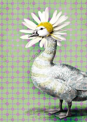 Postkarte - La Tack - GänseBlume