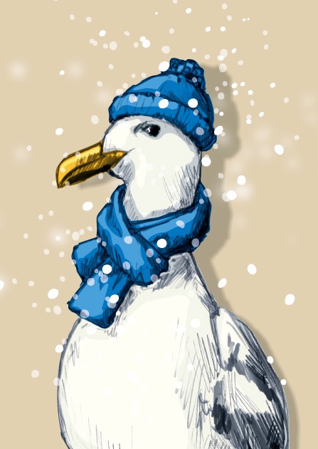 Postkarte - illi - CASIM