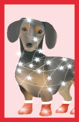 Minicard - Toni Starck - Starlight Dog