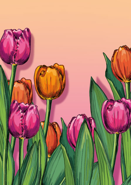 Postkarte - illi - LIVA