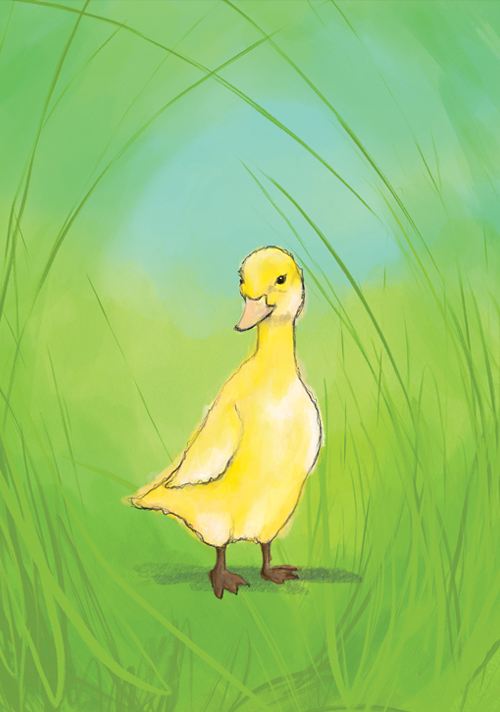 *PK - Tabea Güttner - Küken *PK - Tabea Güttner - Küken