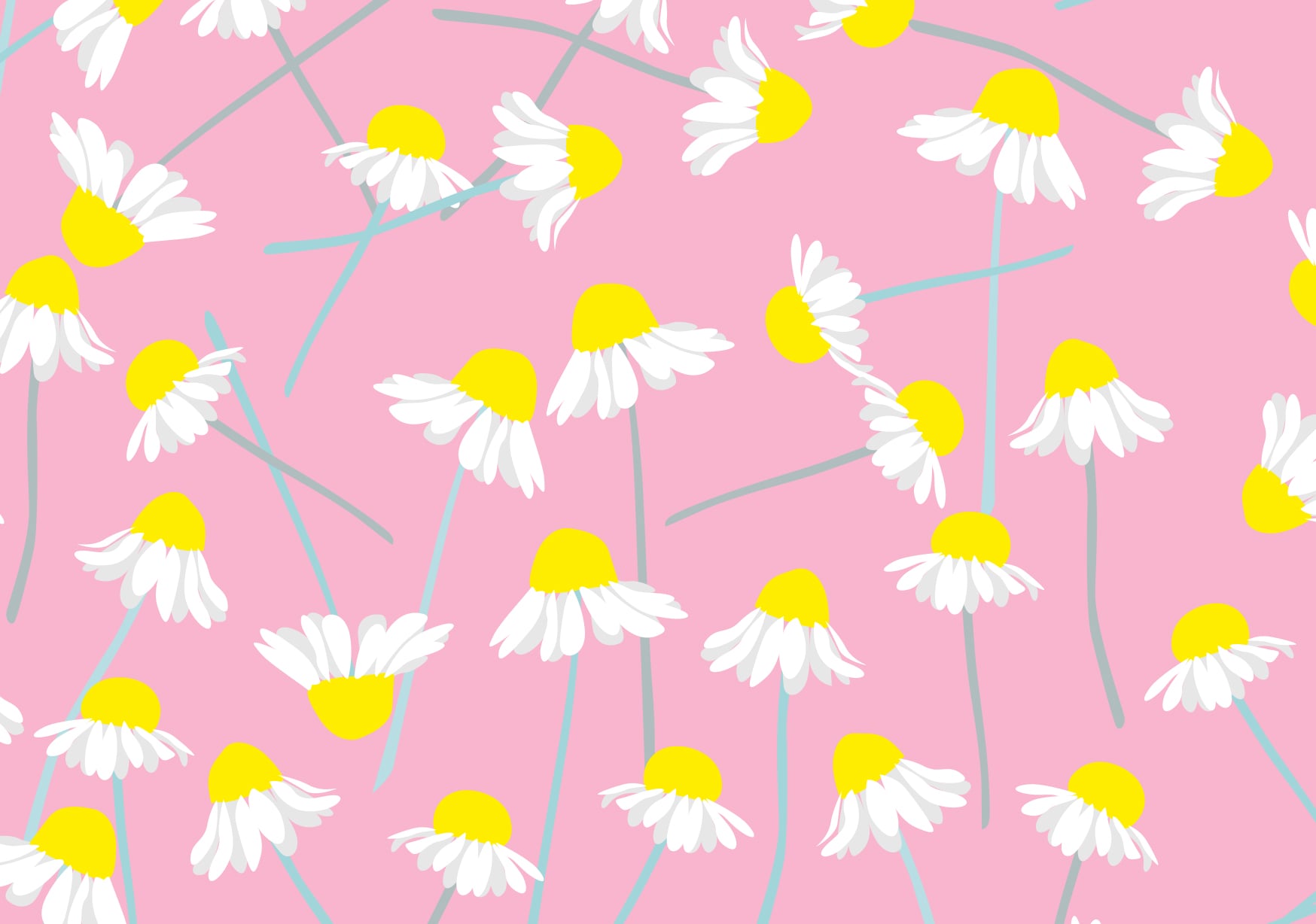 Postkarte - neonstyle - Kamillen Postkarte - neonstyle - Kamillen