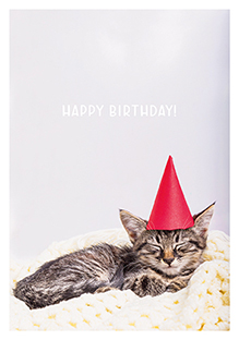 Postkarte - La Card - Birthday Cat