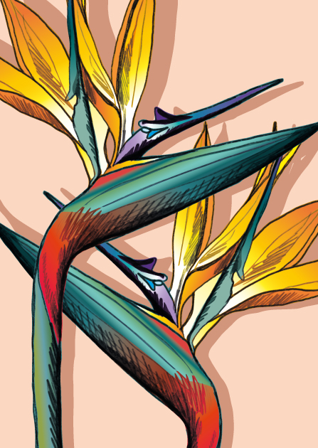 Postkarte - illi - Litzia Postkarte - illi - Litzia