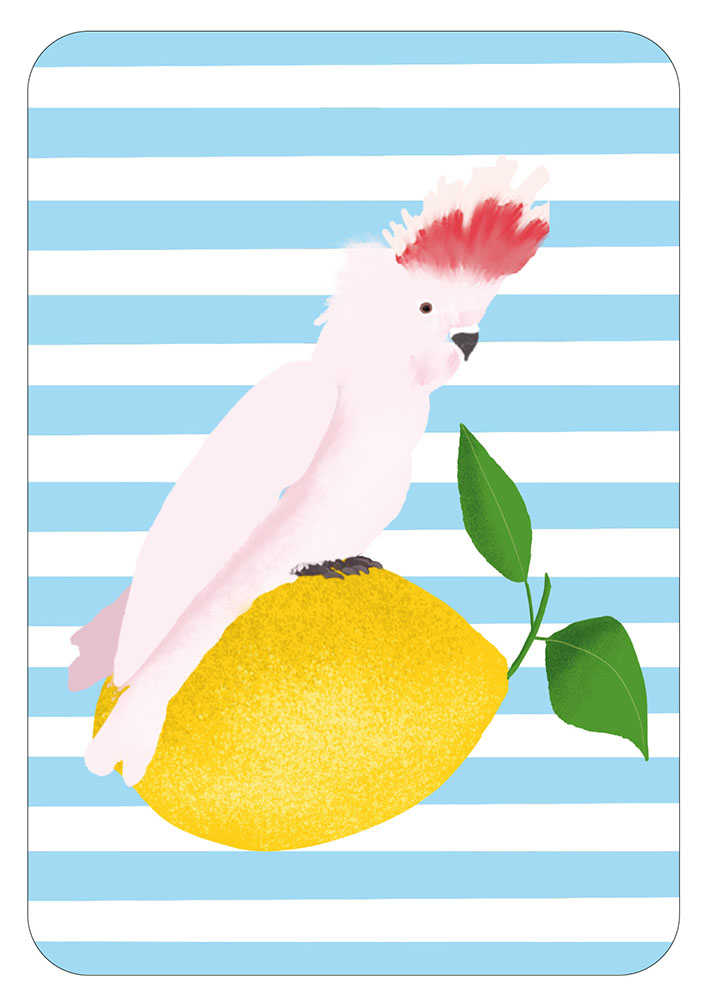 Postkarte - Toni Starck - Lollipop - Lemon Cockatoo