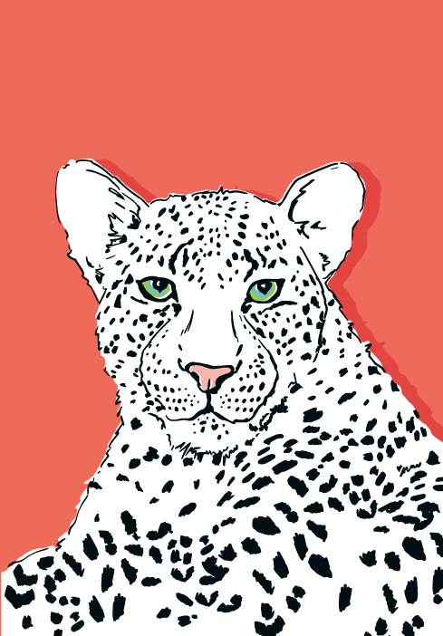 Klappkarte B6 - illi - Kimbu Klappkarte B6 - illi - Kimbu