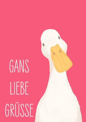 Postkarte - andrea liesert - Gans