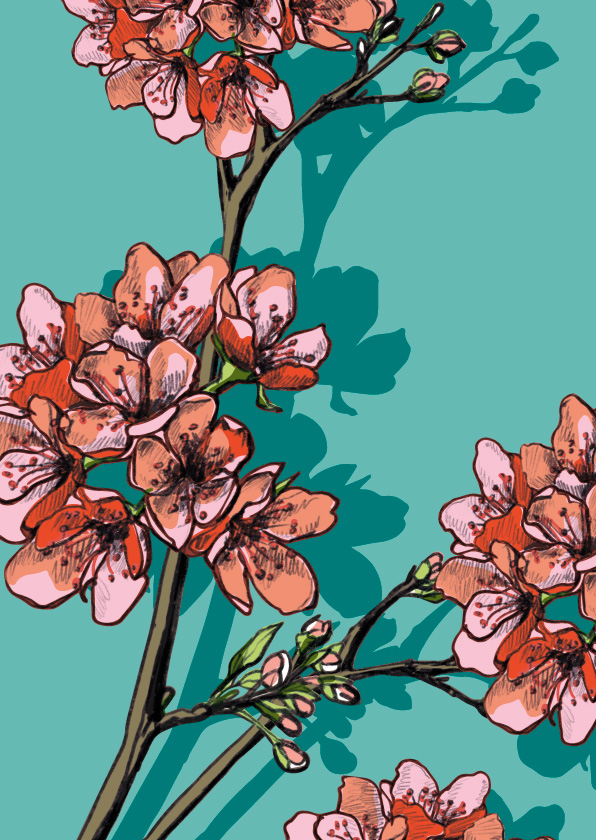 Postkarte - illi - Sakura Postkarte - illi - Sakura