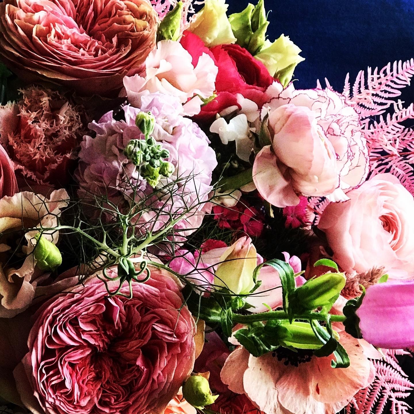 Postkarte - Libelle - Love
