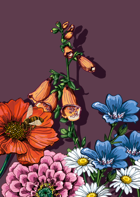 Postkarte - illi - TALIBO Postkarte - illi - TALIBO