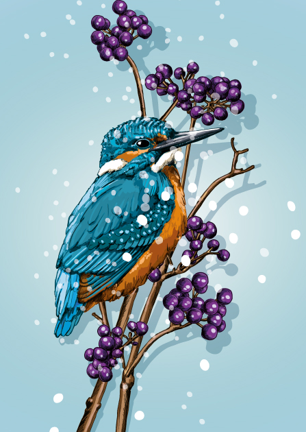 Postkarte - illi - KUBI Postkarte - illi - KUBI