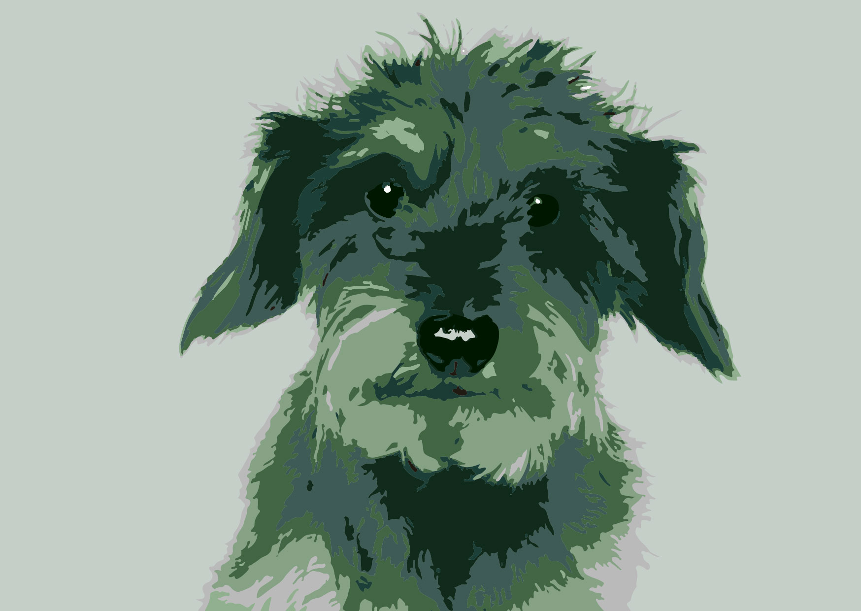 Postkarte - Toni Starck - animal dachshund