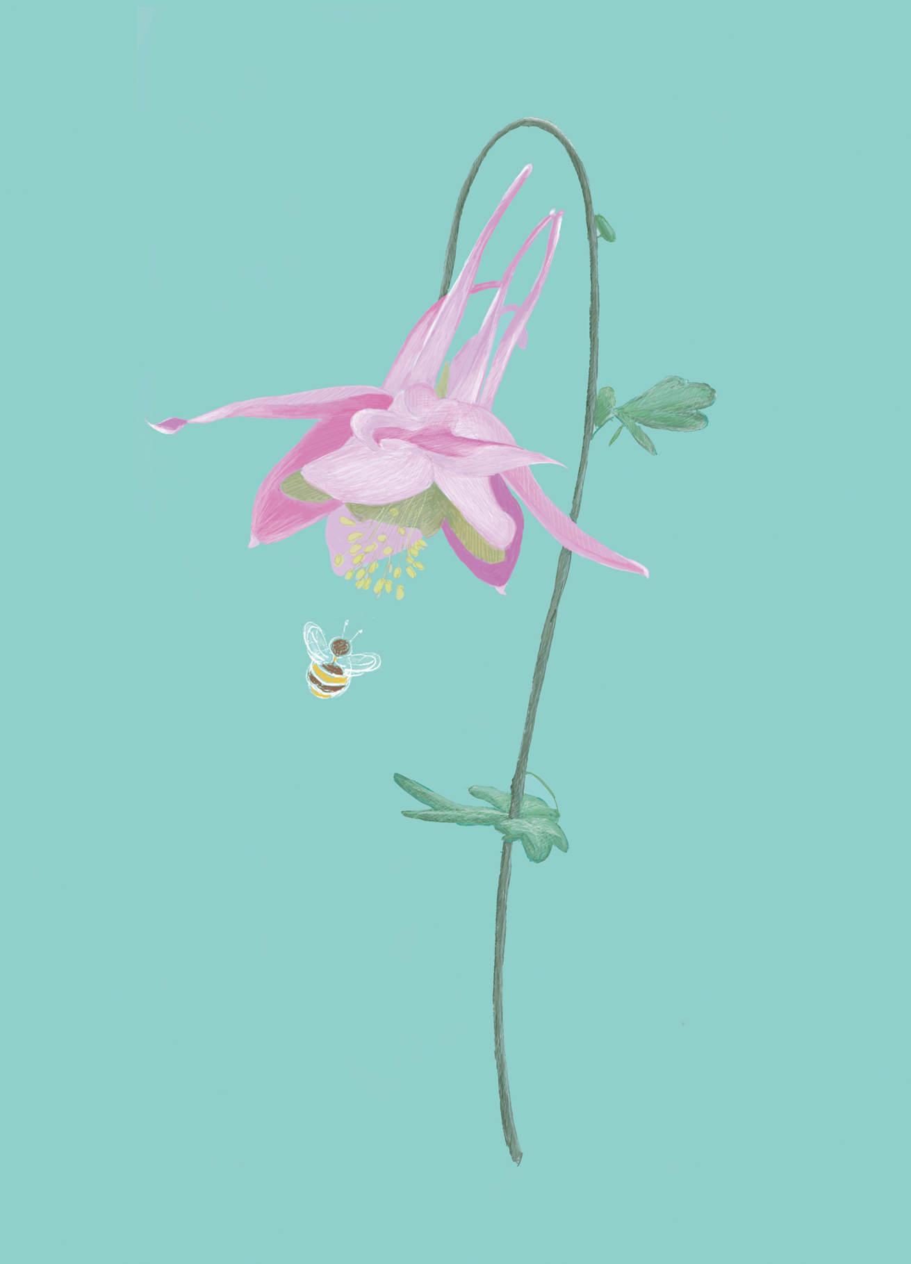Postkarte - m-illu Save the bees COLUMBINE