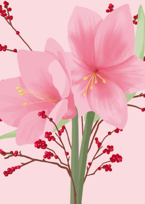 Postkarte - Toni Starck - Amaryllis Postkarte - Toni Starck - Amaryllis