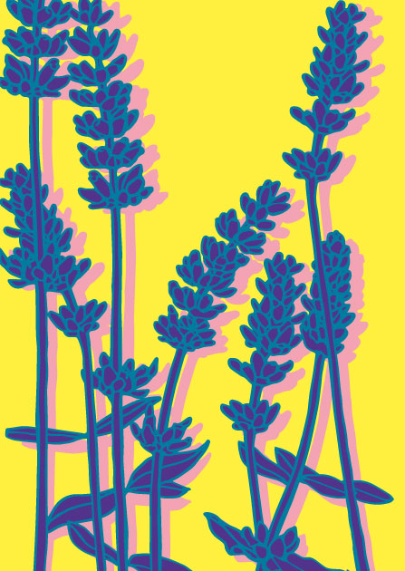 Postkarte - illi POP - LINI